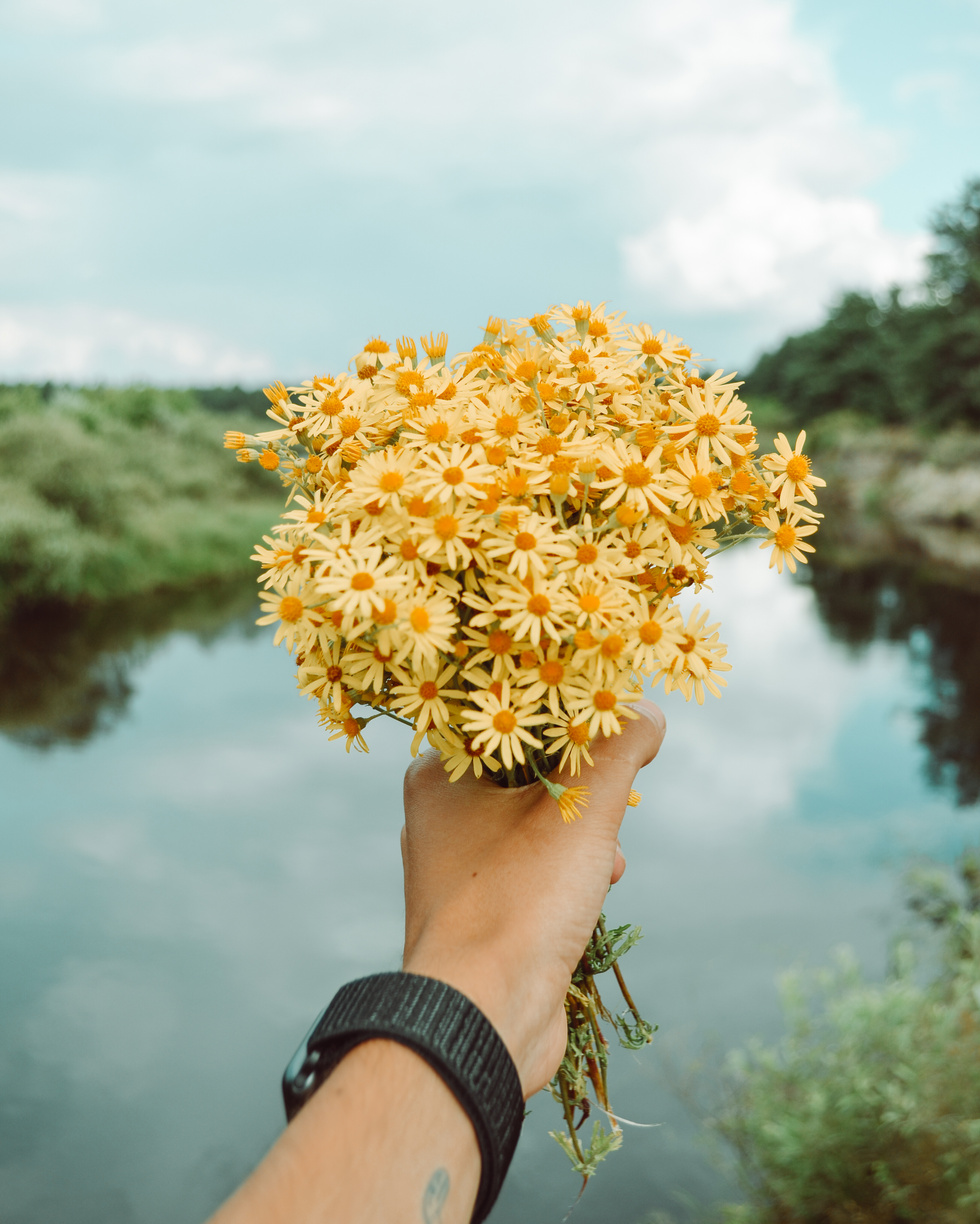 A Person Holding Yellow Flower Bouquet